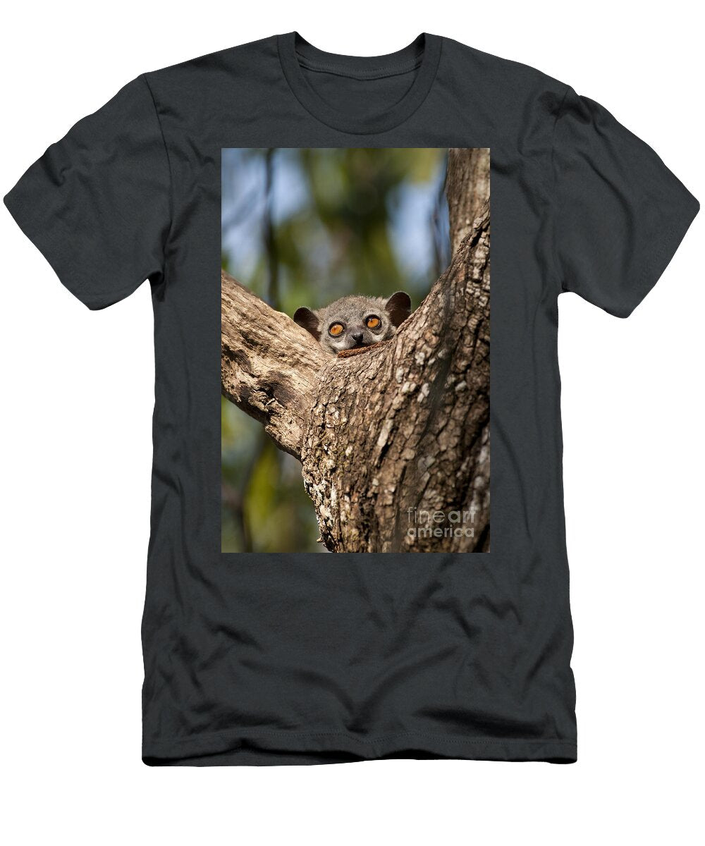 1 Randrianasolis Sportive Lemur Tony Camacho T-Shirt