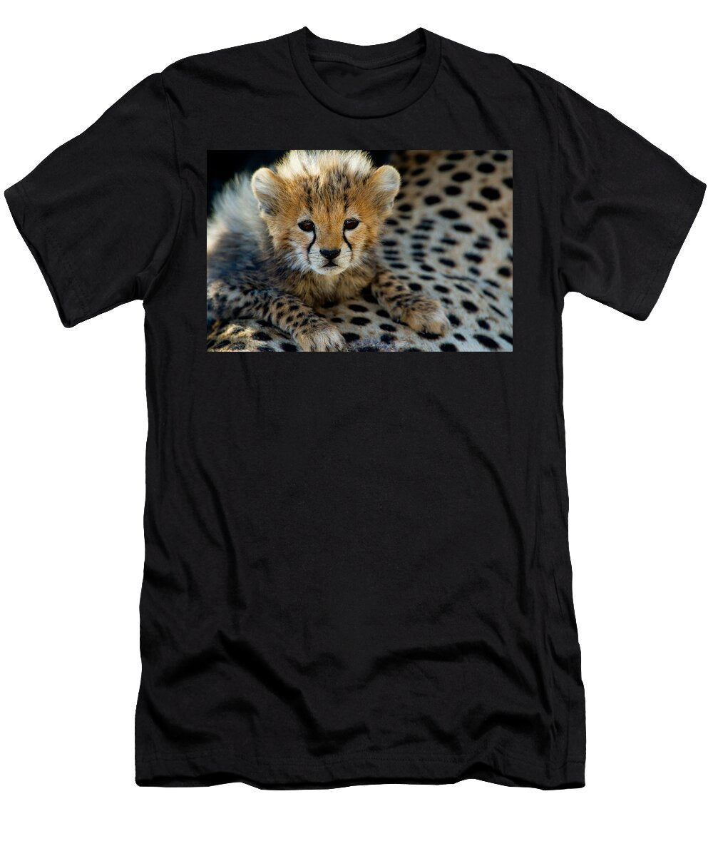3 Close Up of Cheetah Acinonyx Jubatus Panoramic Images T-Shirt