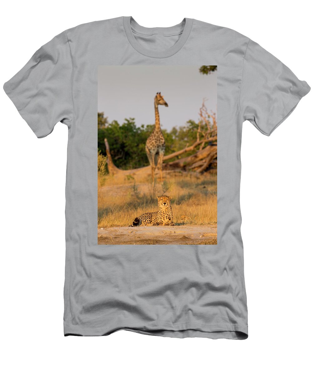 Cheetah and Giraffe At Dawn Moremi Worldfoto T-Shirt