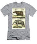 Diderots Elephant and Rhino Denis Diderot T-Shirt