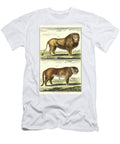 Diderots Lion and Tiger Denis Diderot T-Shirt
