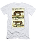 Diderots Panther and Leopard Denis Diderot T-Shirt