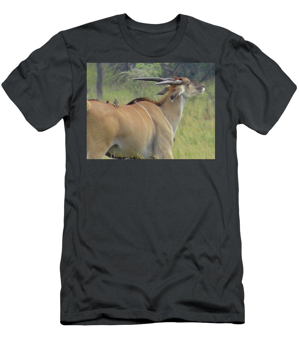 Free Ride for the Birds Exploramum Exploramum T-Shirt