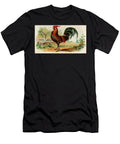 Golden Spangled Hamburg Rooster Vintage Animal Illustration Picked and Shared T-Shirt