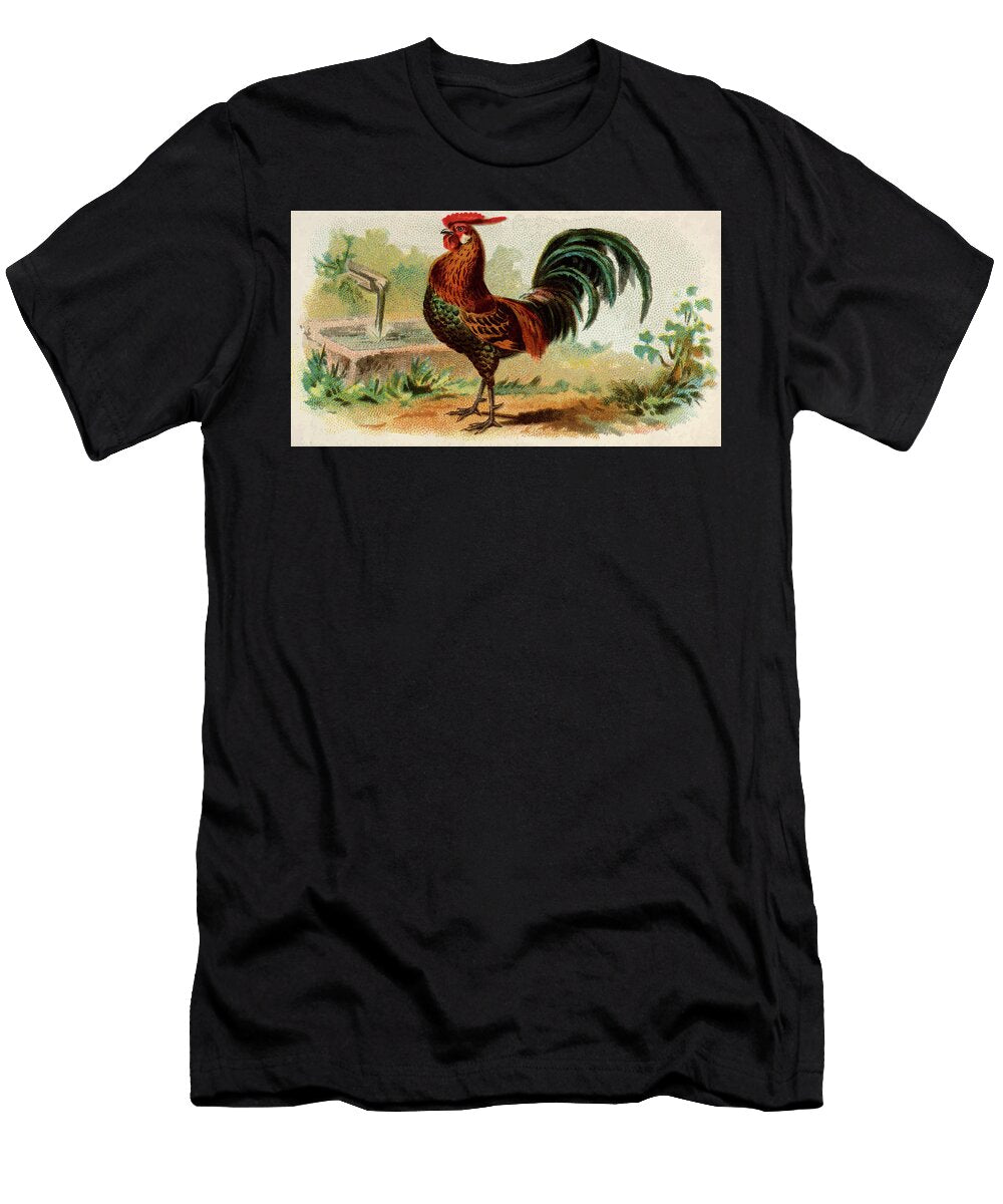 Golden Spangled Hamburg Rooster Vintage Animal Illustration Picked and Shared T-Shirt
