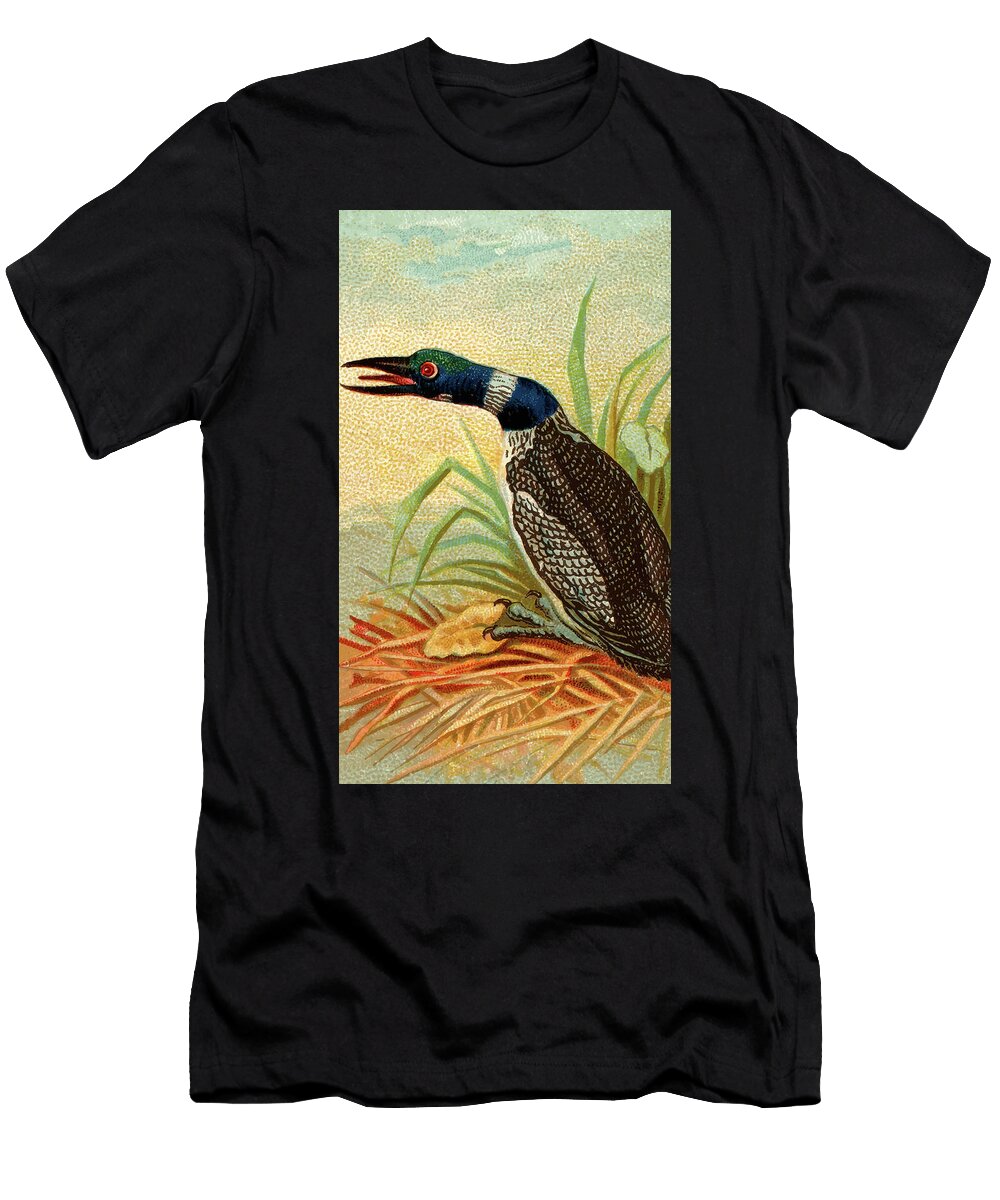 Great Northern Diver Vintage Animal Illustration Picked and Shared T-Shirt
