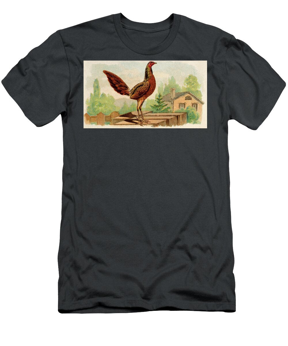 Hennie Game Chicken Vintage Animal Illustration Picked and Shared T-Shirt