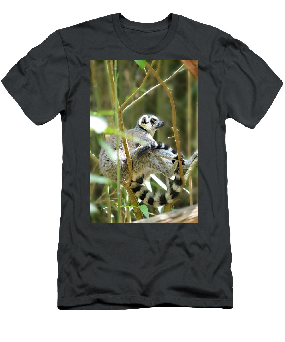 Lazy Lemur Ally White T-Shirt