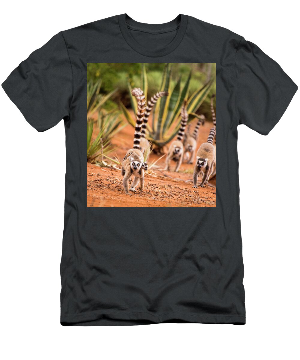 Parade Alex Lapidus T-Shirt