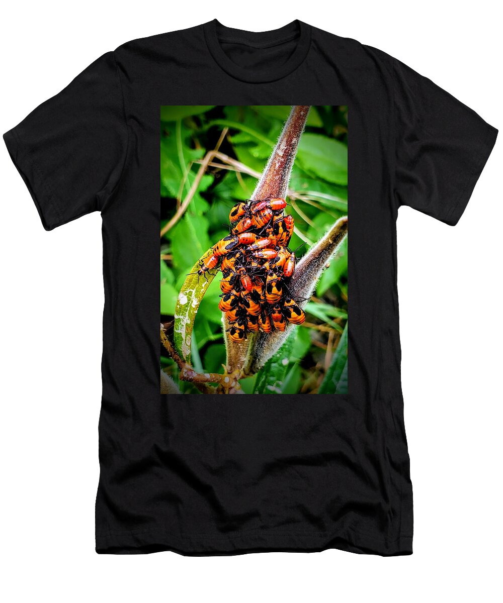 Red Milkweed Beetle Ricky L Jones T-Shirt
