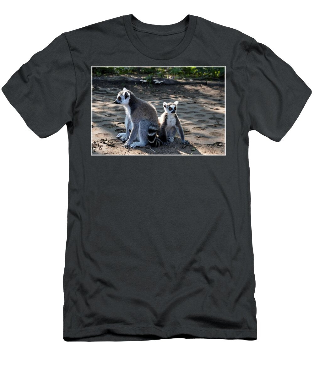 Ring Tailed Lemur 12 Les Classics T-Shirt