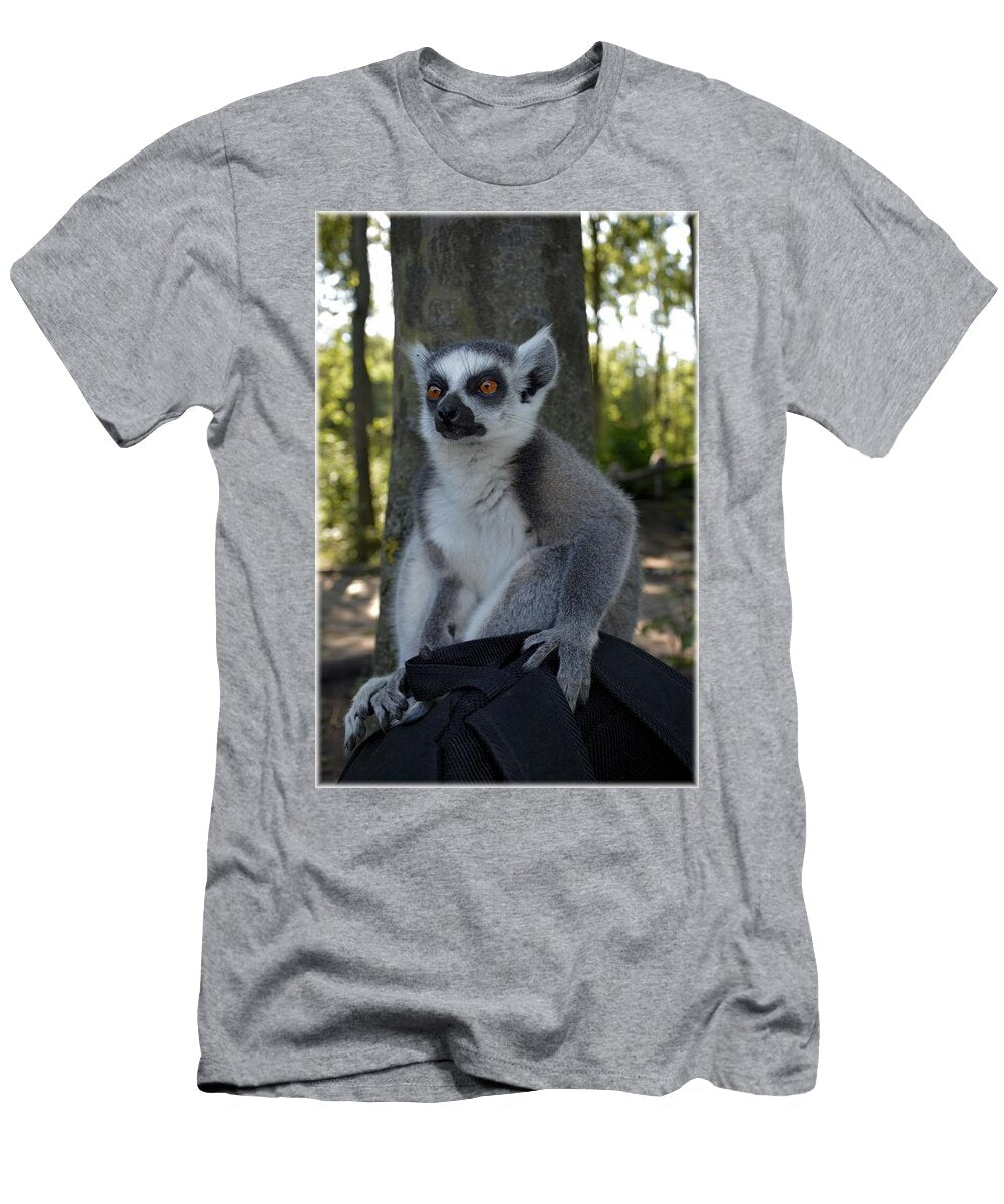 Ring Tailed Lemur 13 Les Classics T-Shirt
