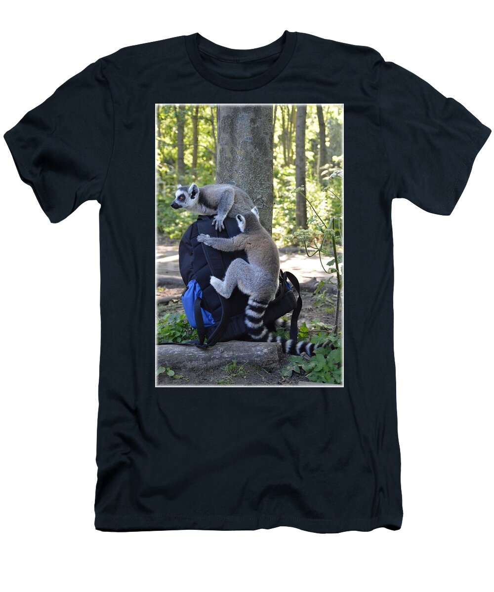 Ring Tailed Lemur 16 Les Classics T-Shirt