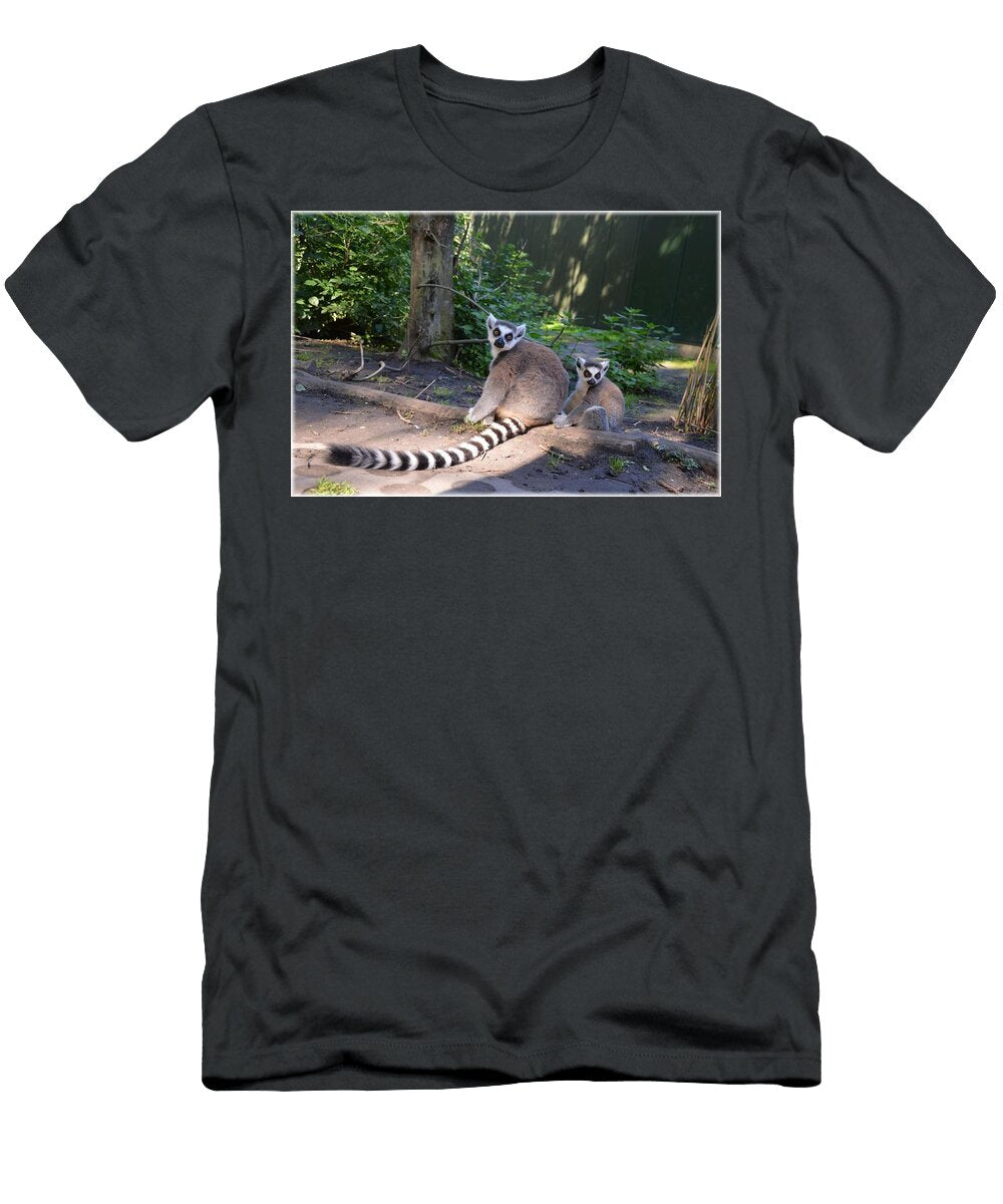 Ring Tailed Lemur 19 Les Classics T-Shirt