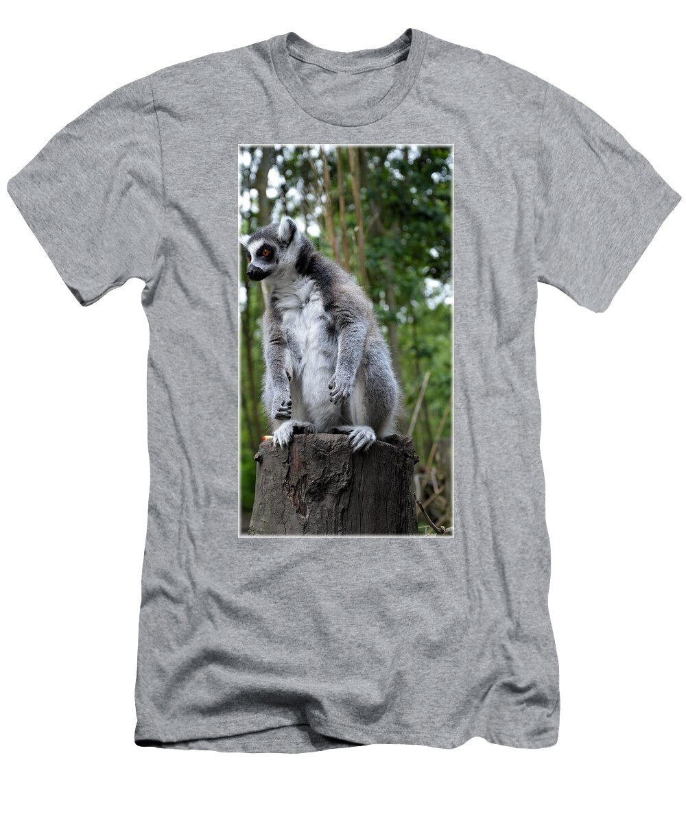Ring Tailed Lemur 21 Les Classics T-Shirt