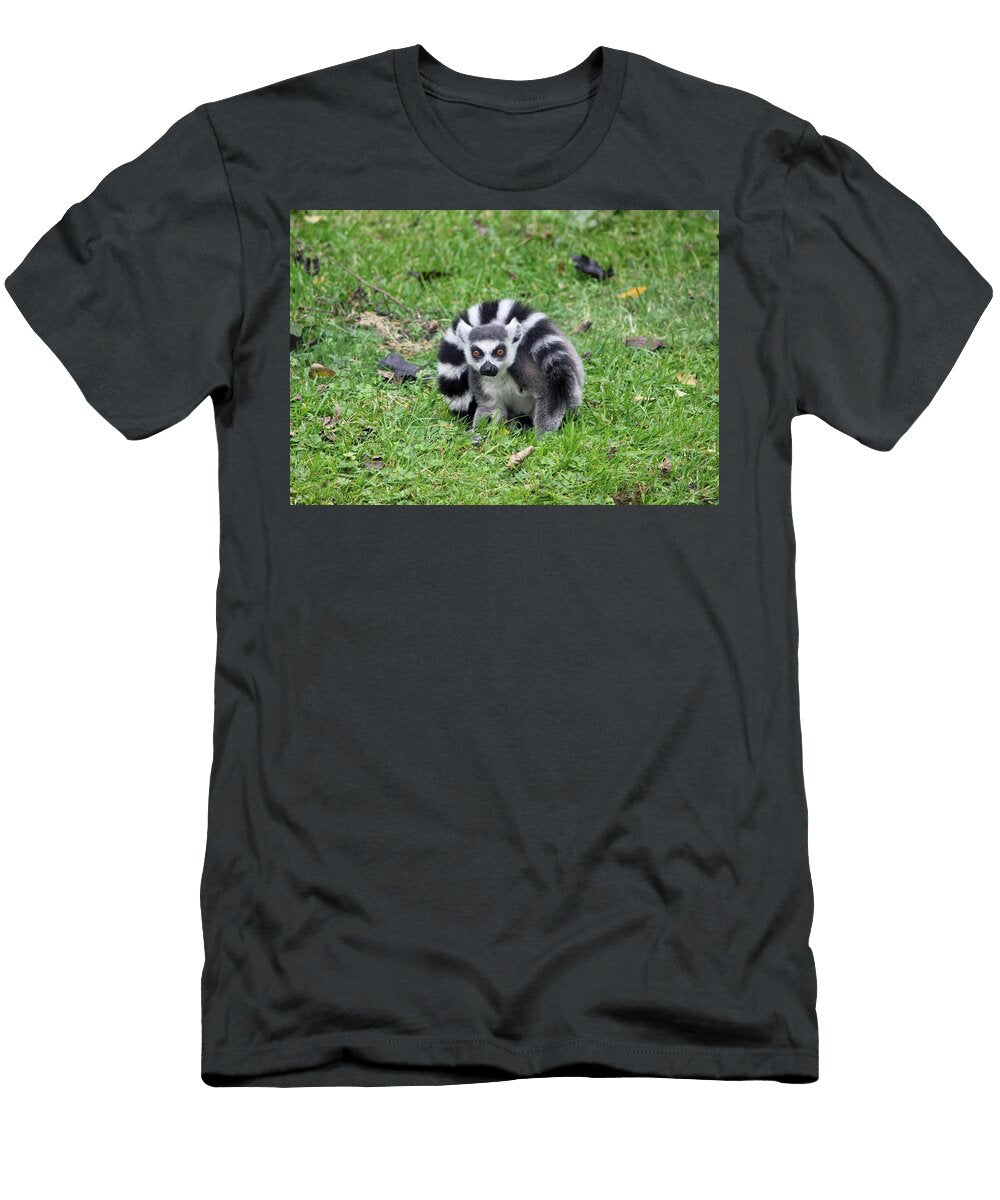 Ring Tailed Lemur 3 Les Classics T-Shirt