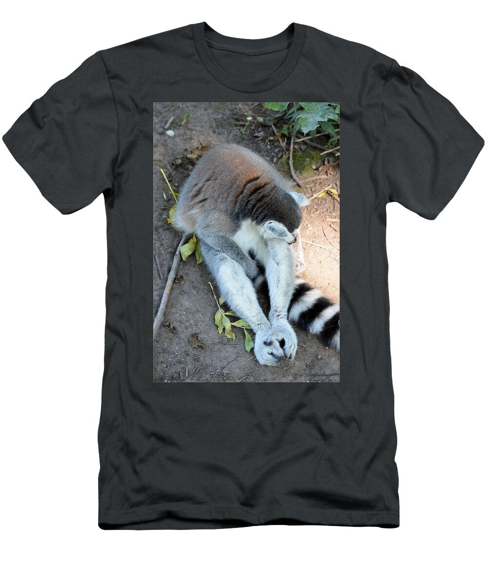 Ring Tailed Lemur A3 Les Classics T-Shirt