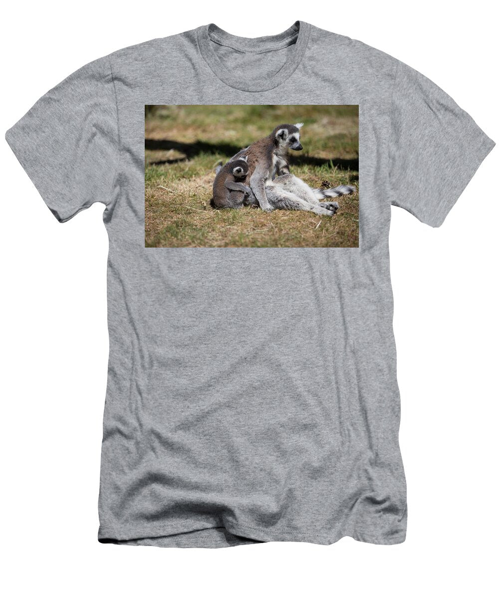 Ring Tailed Lemur A5 Les Classics T-Shirt