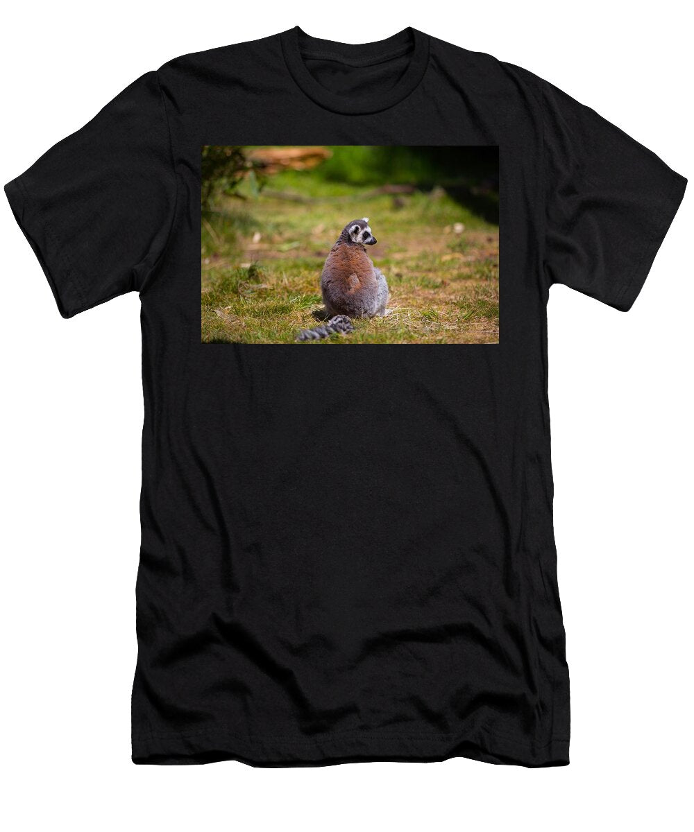 Ring Tailed Lemur A6 Les Classics T-Shirt