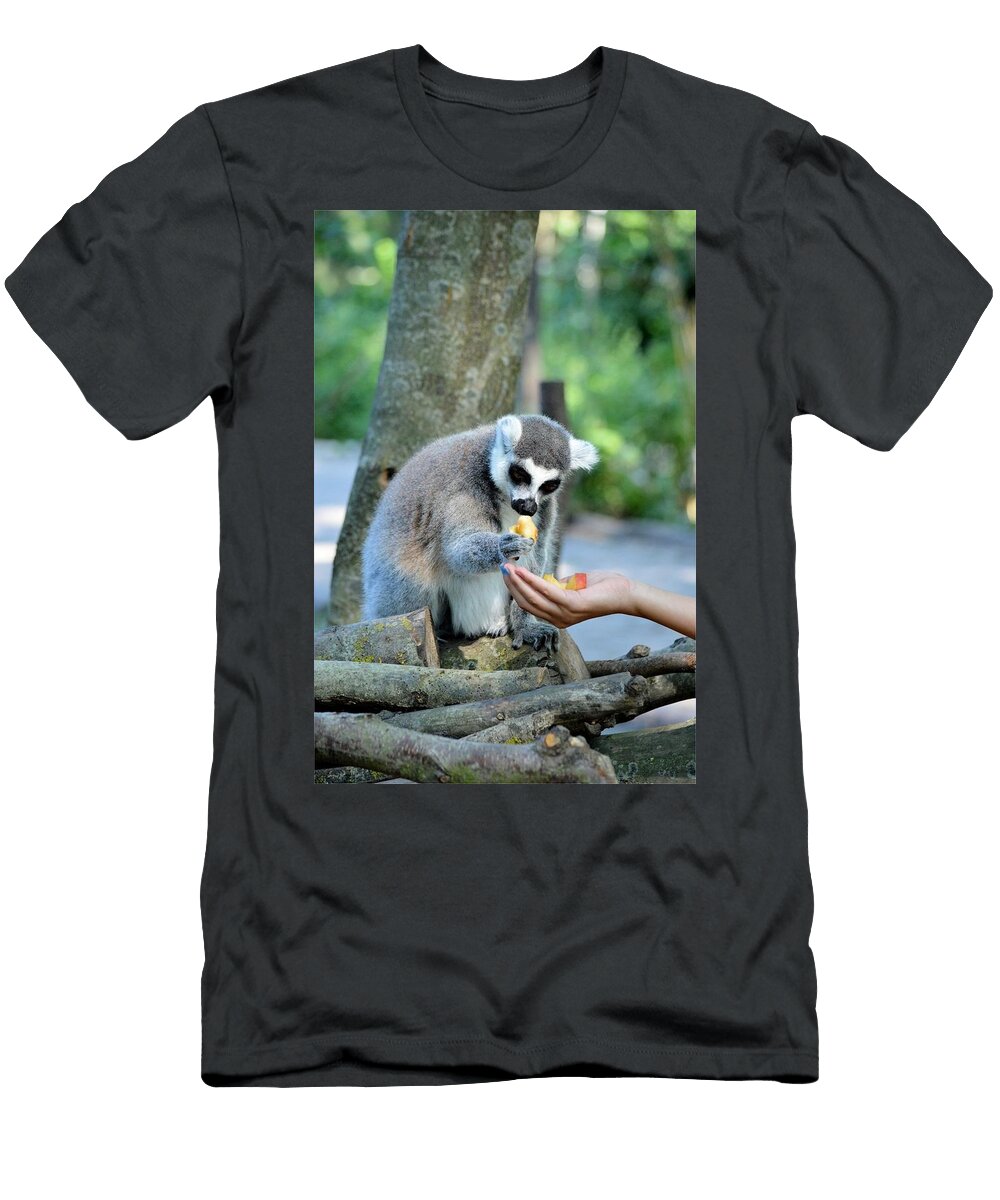 Ring Tailed Lemur B2 Les Classics T-Shirt