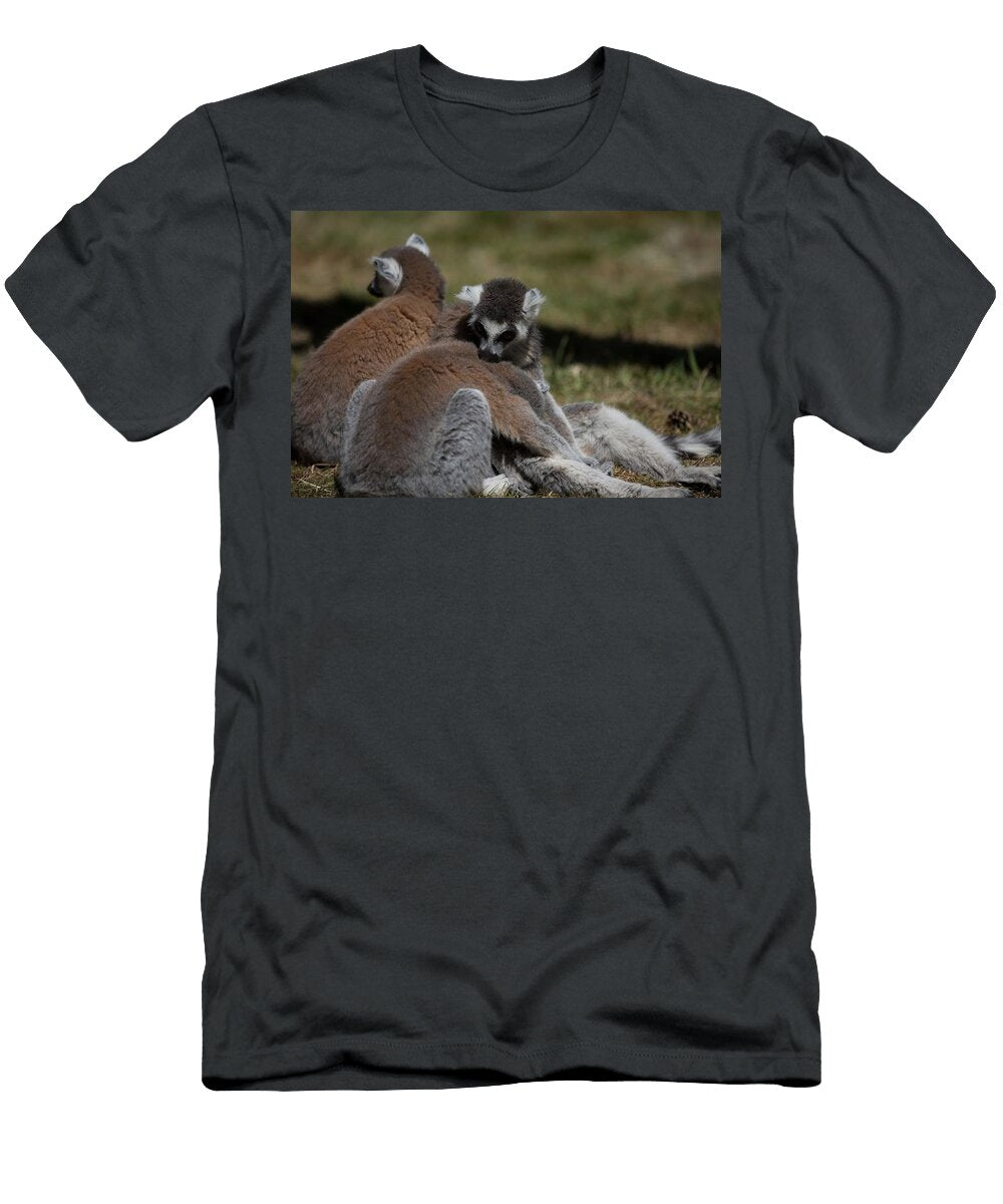 Ring Tailed Lemur C9 Les Classics T-Shirt