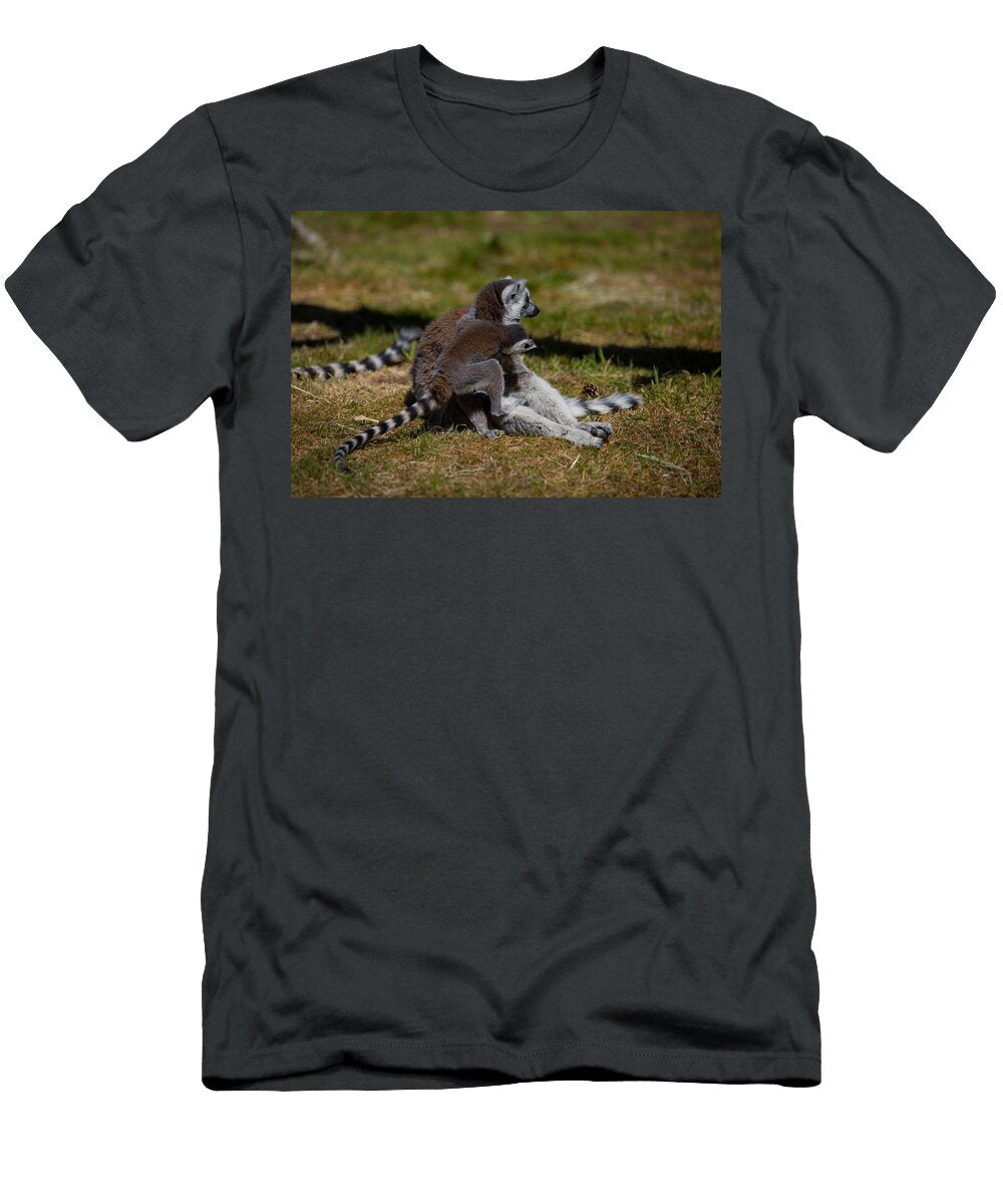 Ring Tailed Lemur D9 Les Classics T-Shirt