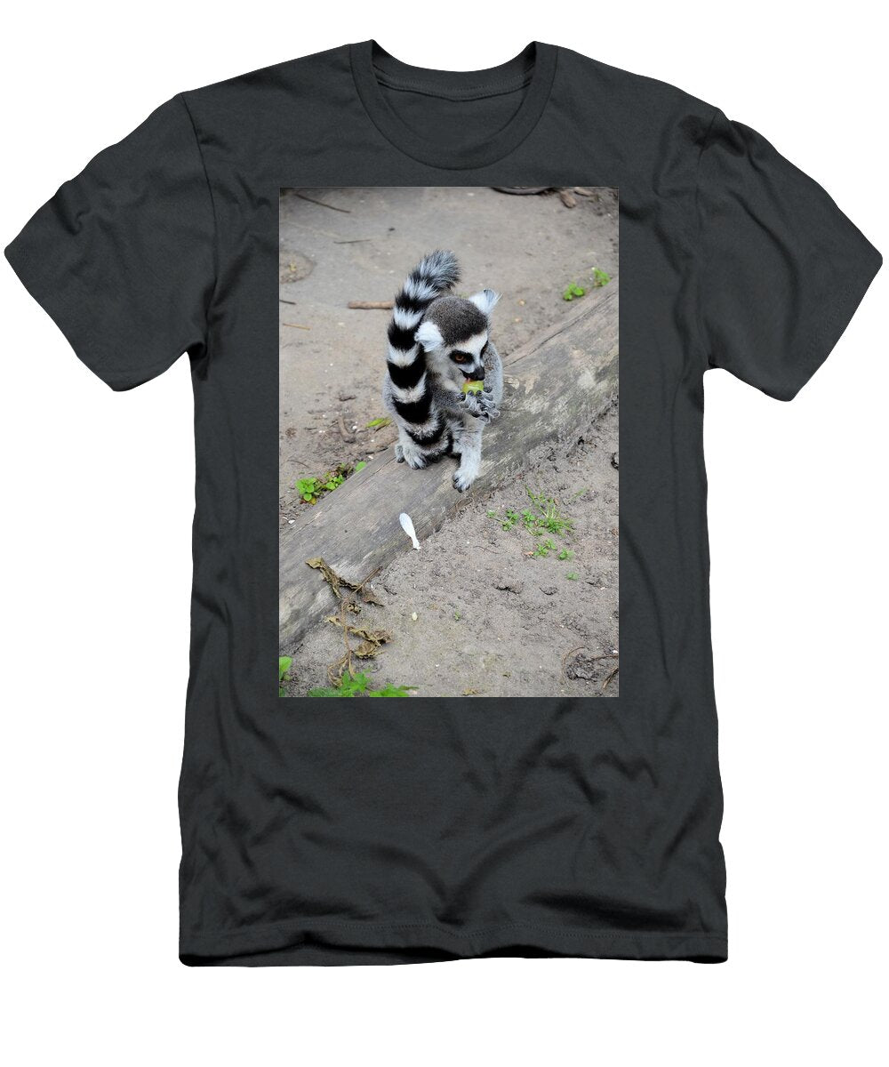 Ring Tailed Lemur E1 Les Classics T-Shirt