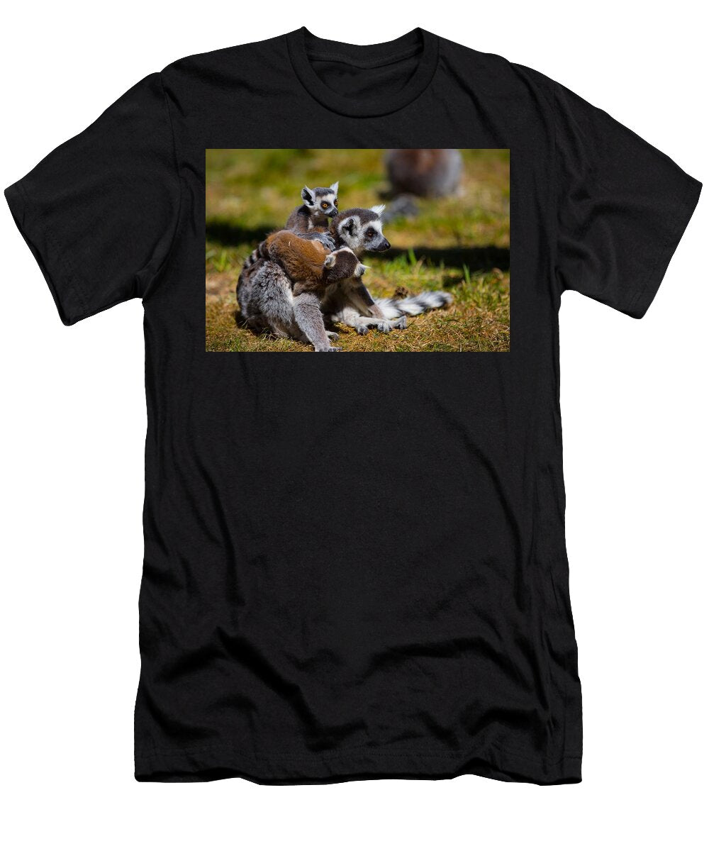Ring Tailed Lemur G4 Les Classics T-Shirt