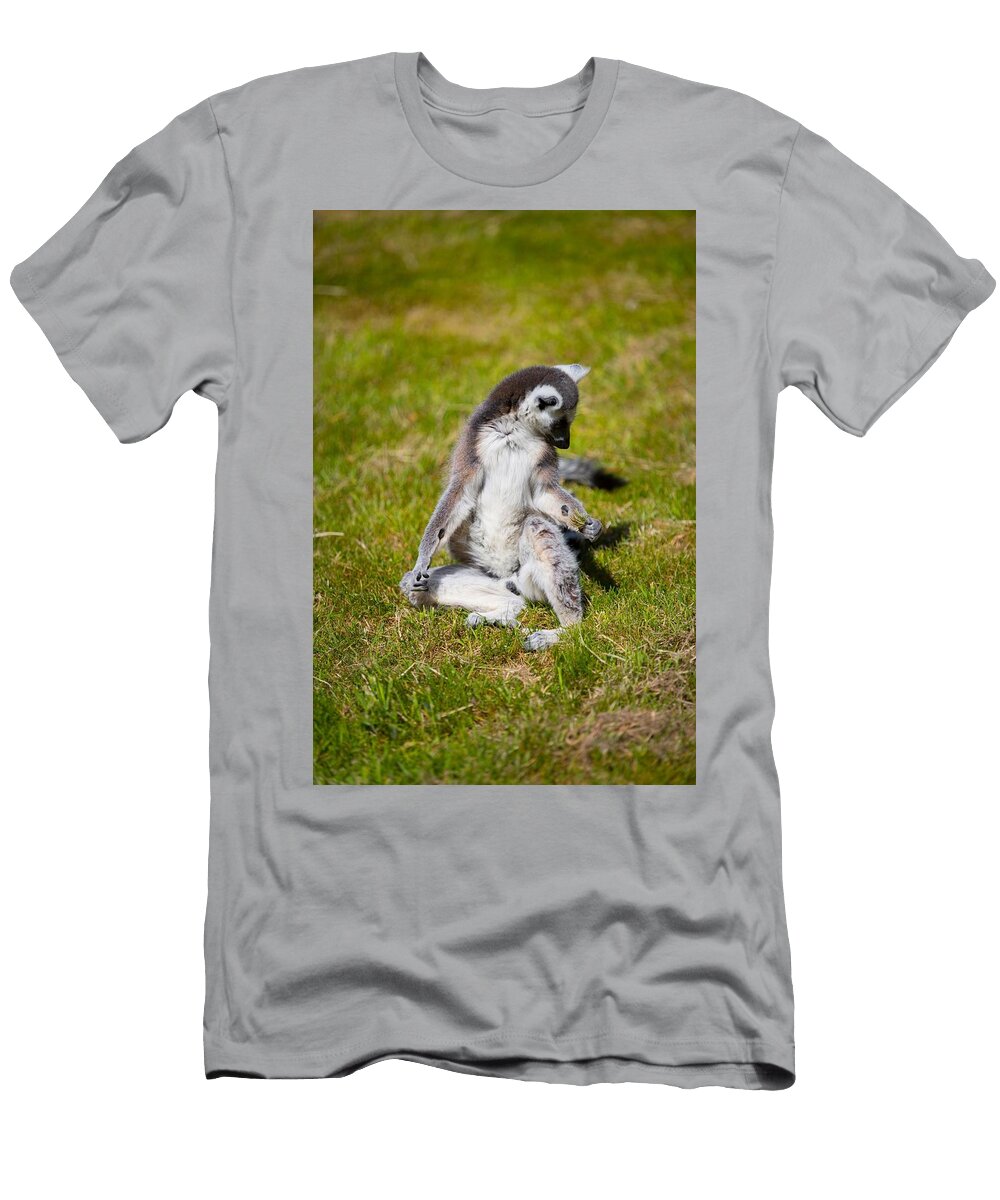 Ring Tailed Lemur G7 Les Classics T-Shirt