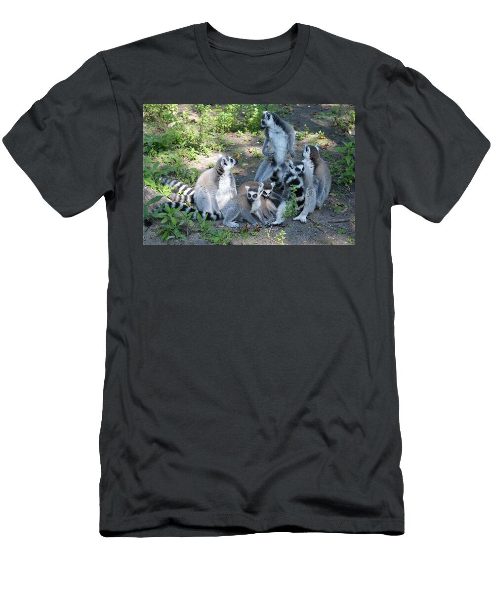 Ring Tailed Lemur H3 Les Classics T-Shirt
