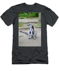 Ring Tailed Lemur I4 Les Classics T-Shirt