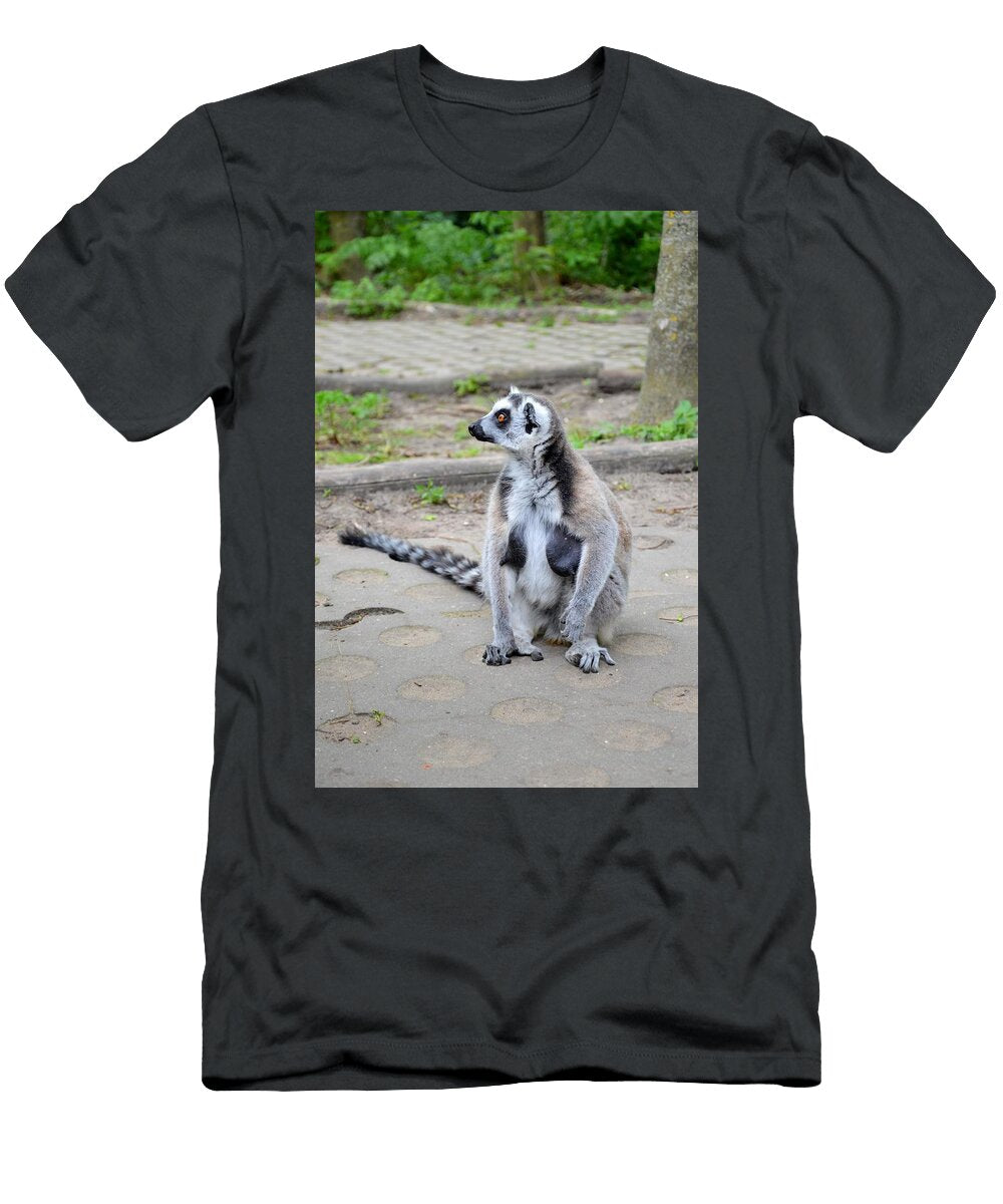 Ring Tailed Lemur I4 Les Classics T-Shirt