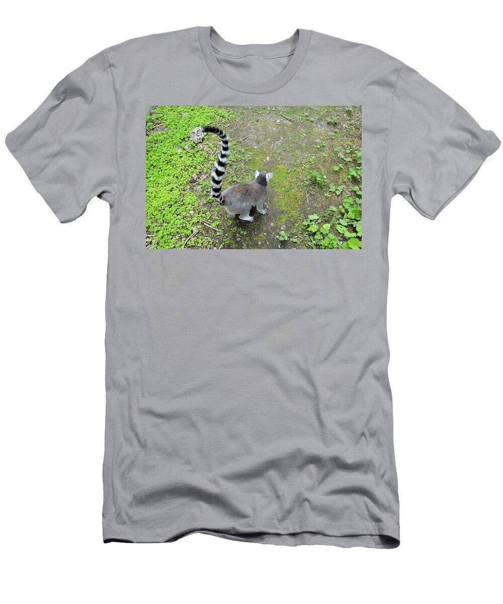 Ring Tailed Lemur I8 Les Classics T-Shirt