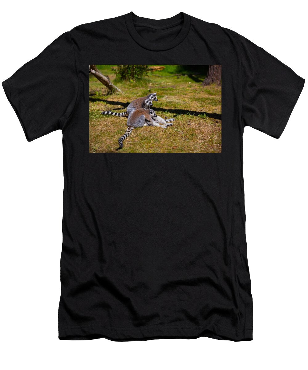 Ring Tailed Lemur K8 Les Classics T-Shirt