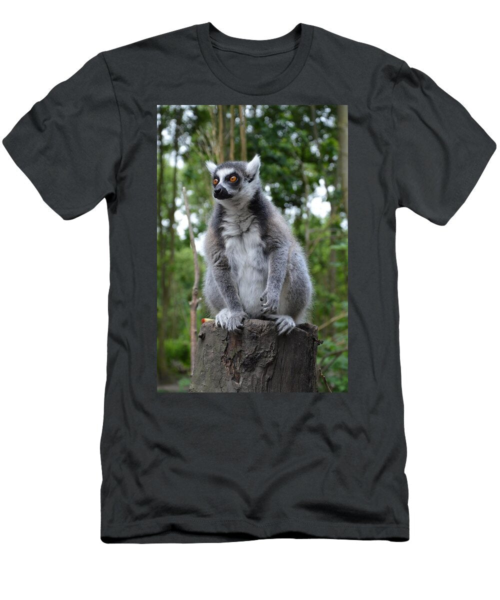Ring Tailed Lemur L5 Les Classics T-Shirt
