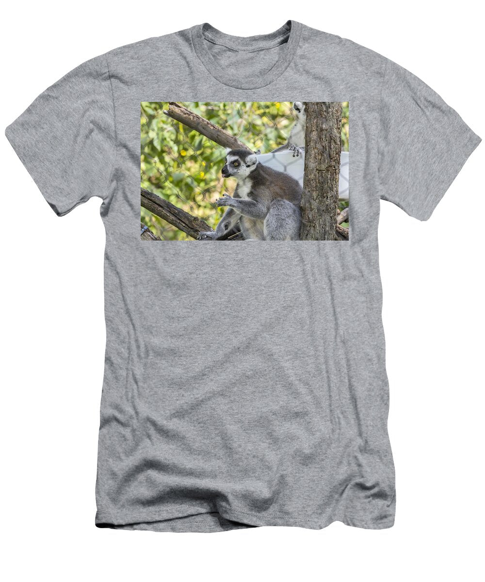 Ring Tailed Lemur Les Classics T-Shirt