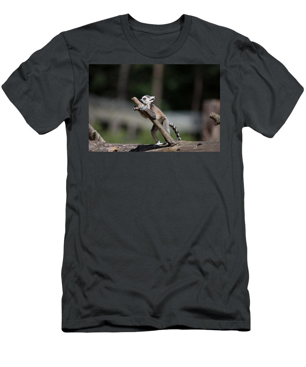 Ring Tailed Lemur O4 Les Classics T-Shirt