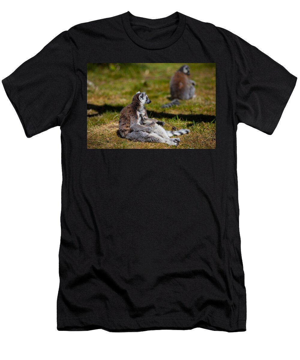 Ring Tailed Lemur Q1 Les Classics T-Shirt