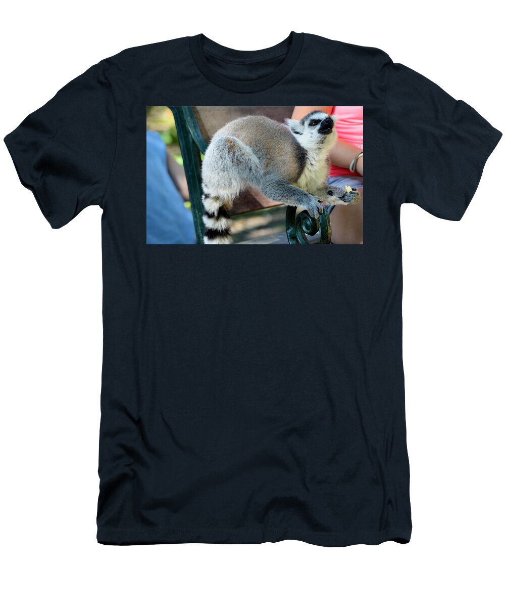 Ring Tailed Lemur Q8 Les Classics T-Shirt