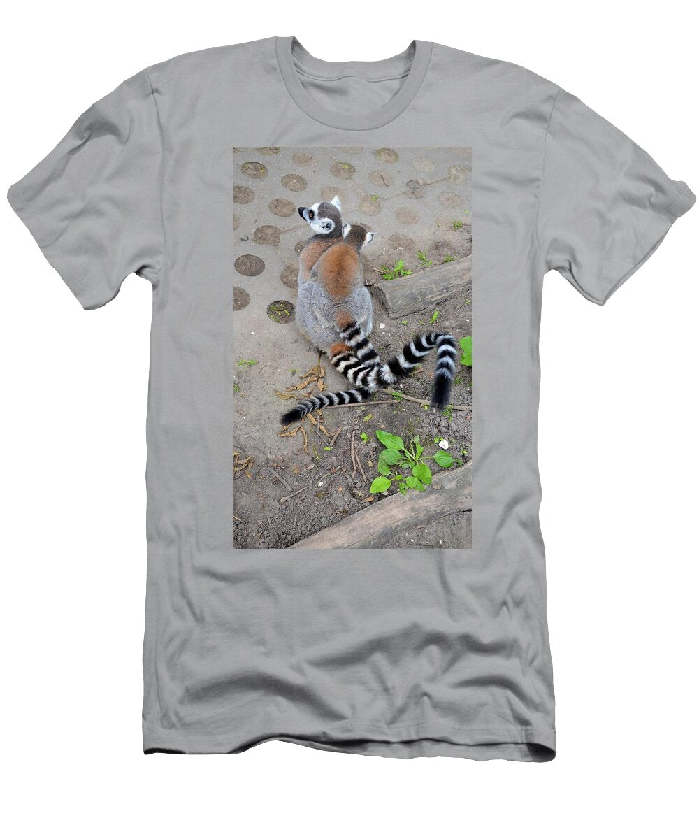 Ring Tailed Lemur R4 Les Classics T-Shirt