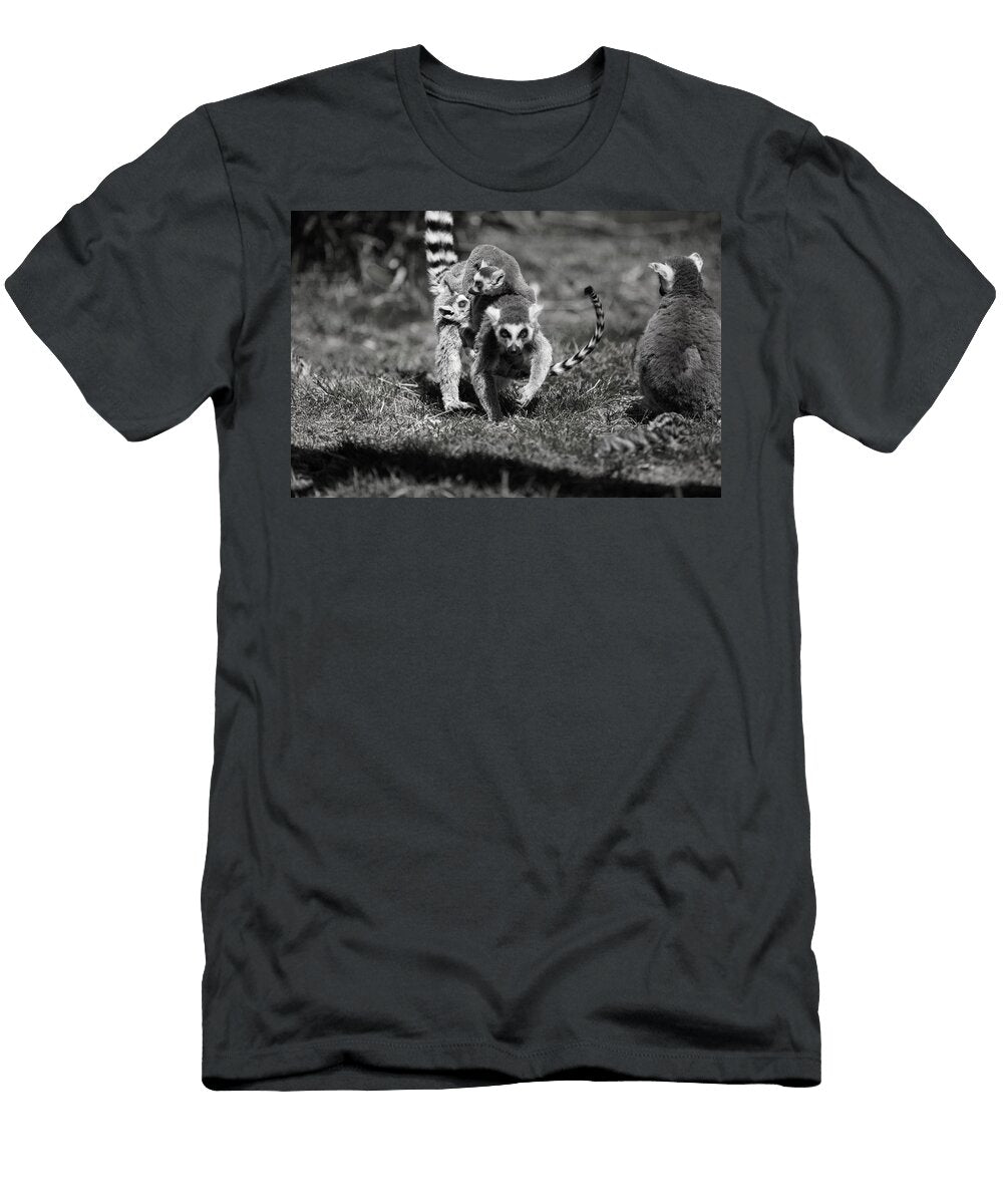 Ring Tailed Lemur T5 Les Classics T-Shirt