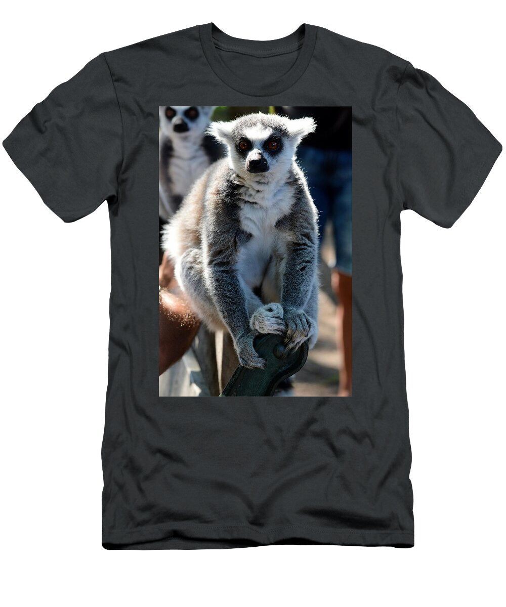 Ring Tailed Lemur T8 Les Classics T-Shirt