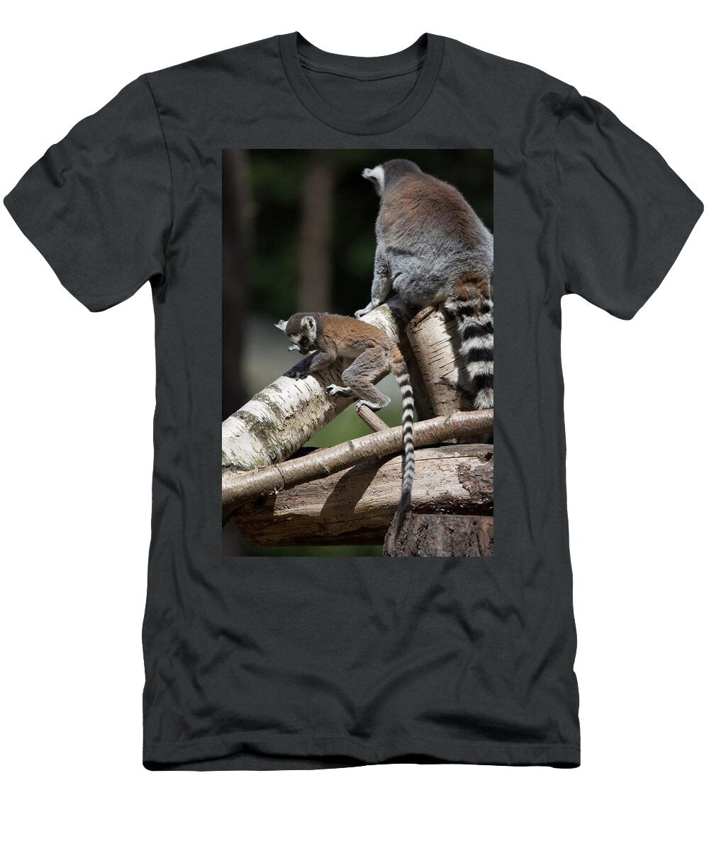 Ring Tailed Lemur T9 Les Classics T-Shirt