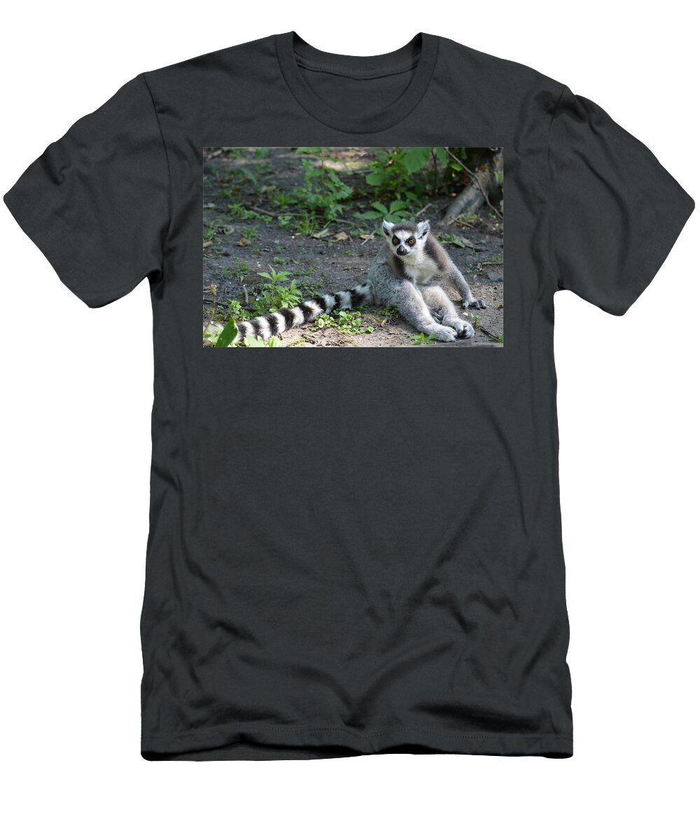 Ring Tailed Lemur U9 Les Classics T-Shirt