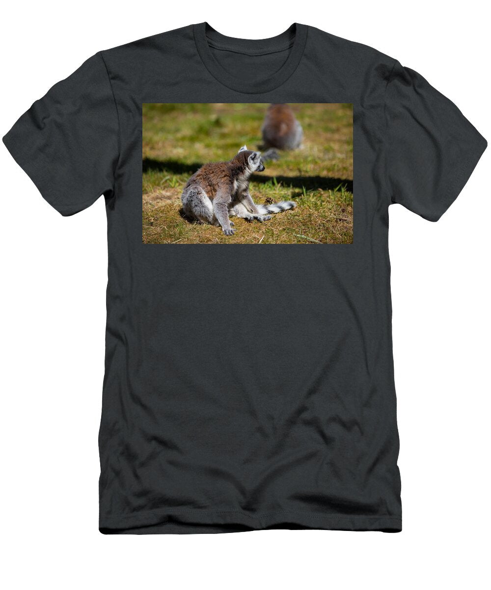 Ring Tailed Lemur V3 Les Classics T-Shirt