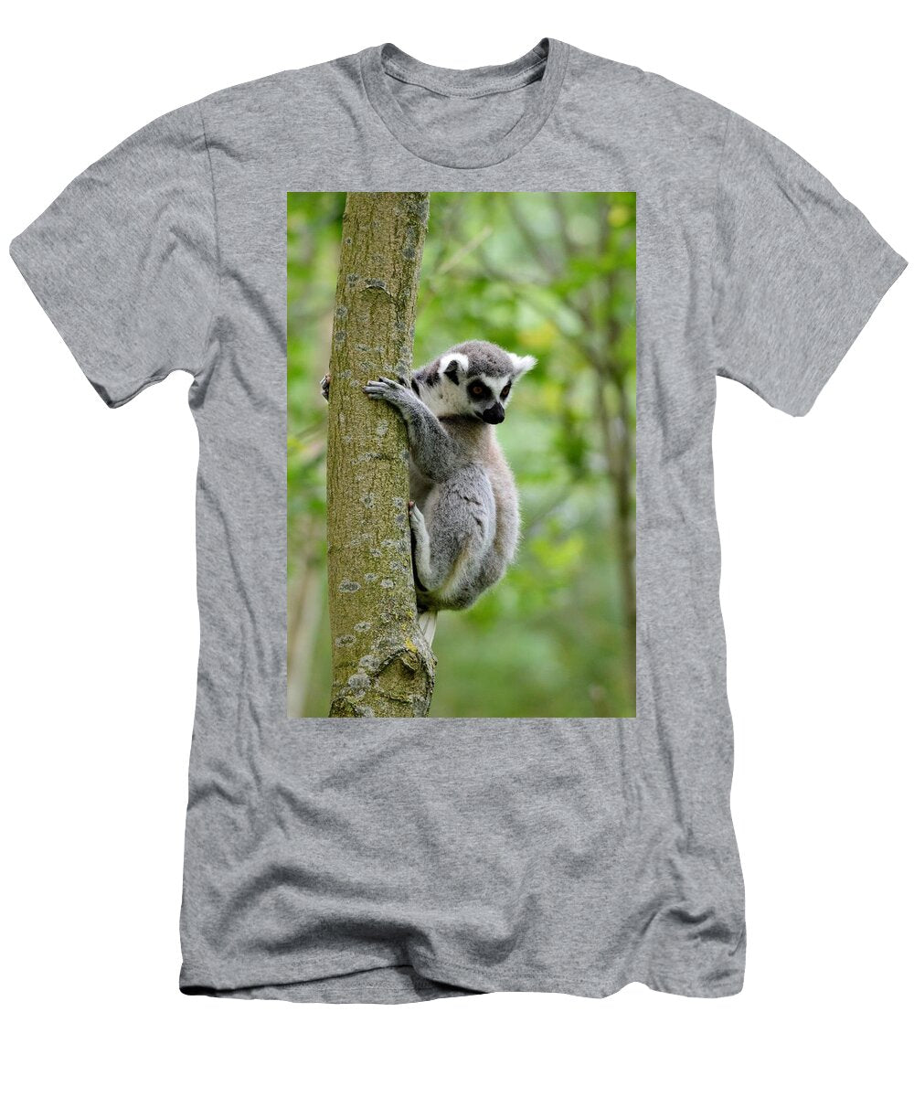 Ring Tailed Lemur V9 Les Classics T-Shirt