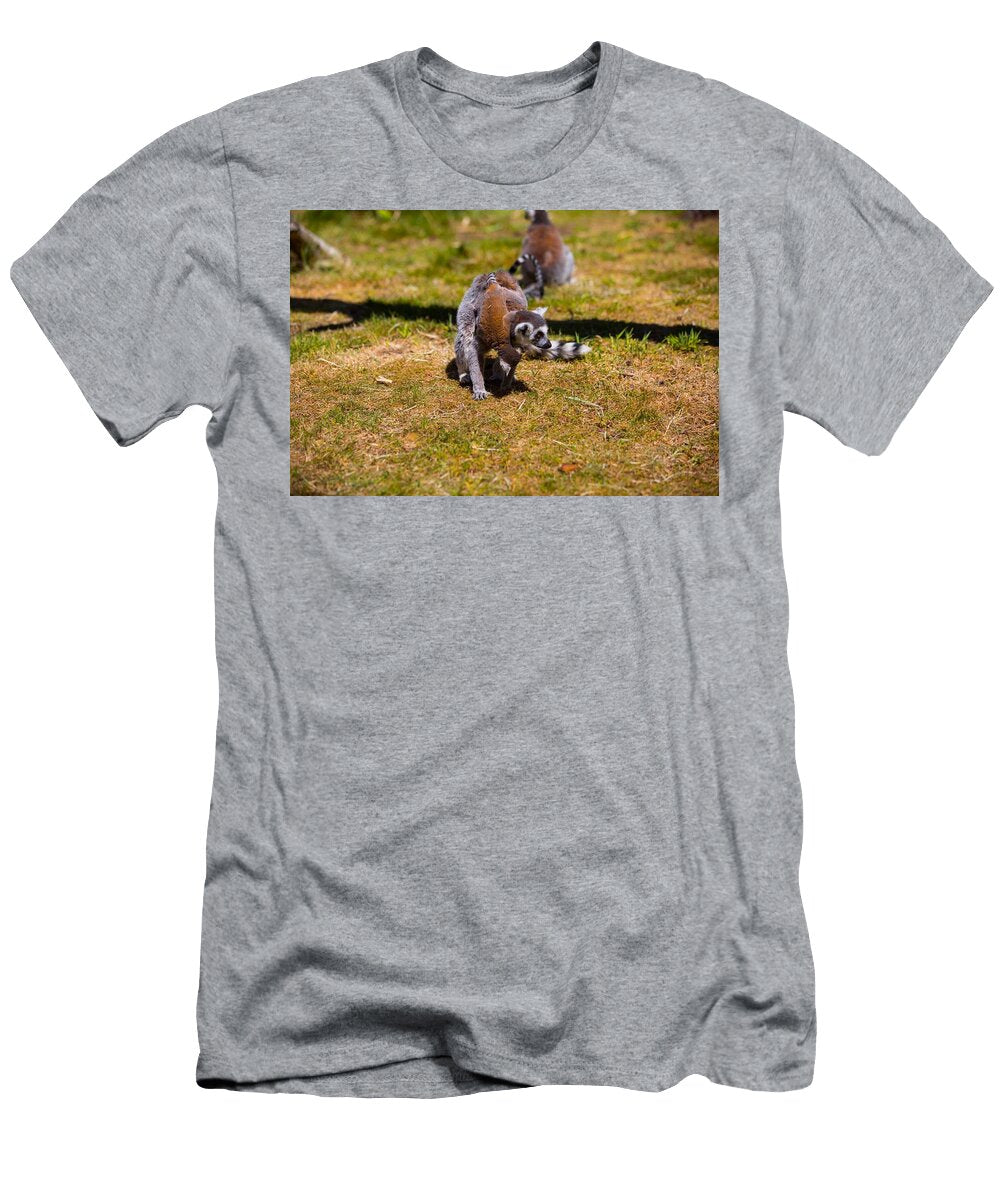 Ring Tailed Lemur W8 Les Classics T-Shirt
