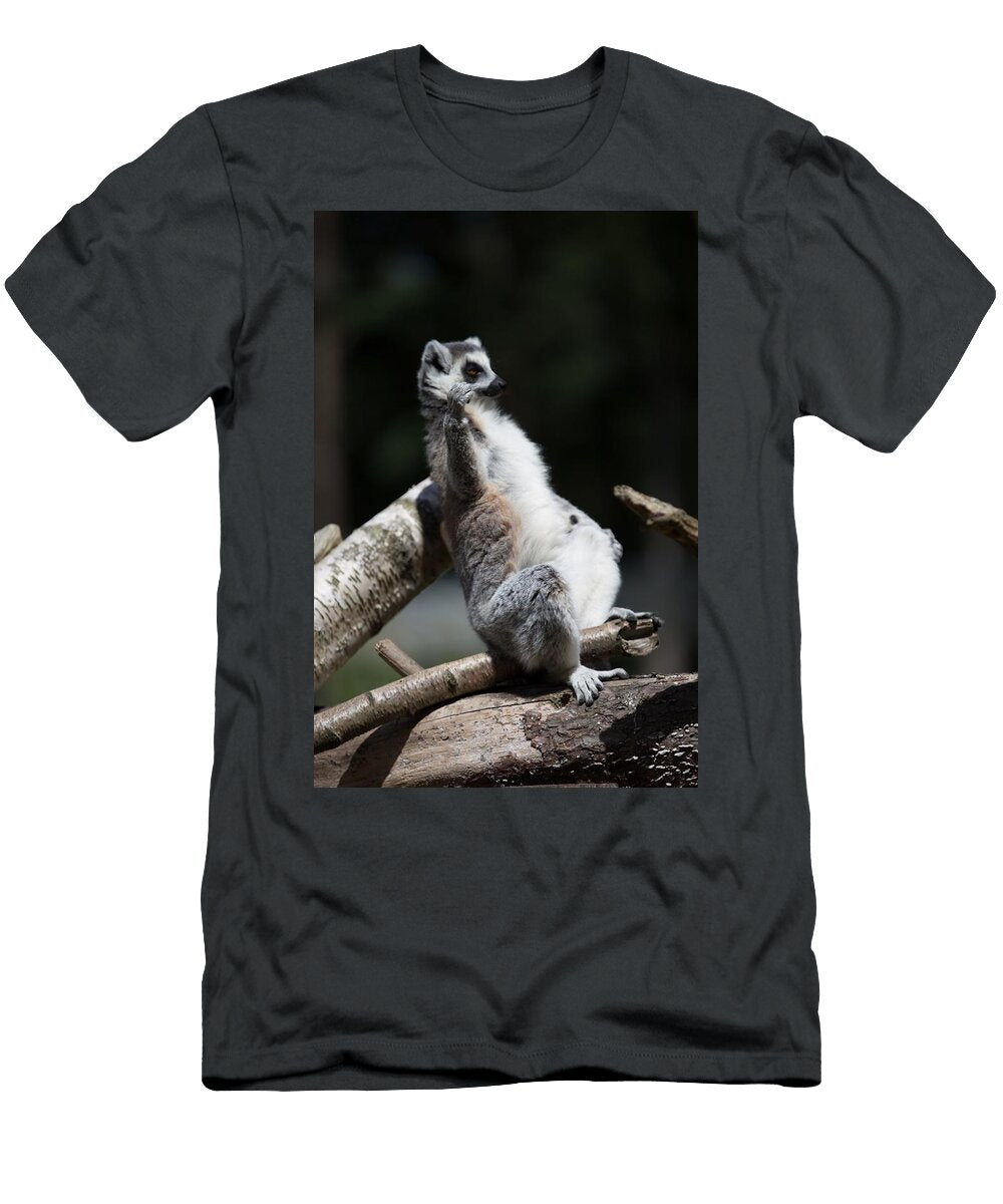 Ring Tailed Lemur Y8 Les Classics T-Shirt