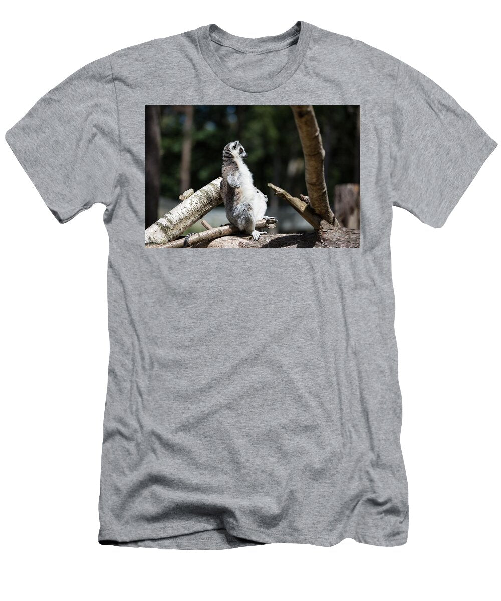Ring Tailed Lemur Z1 Les Classics T-Shirt