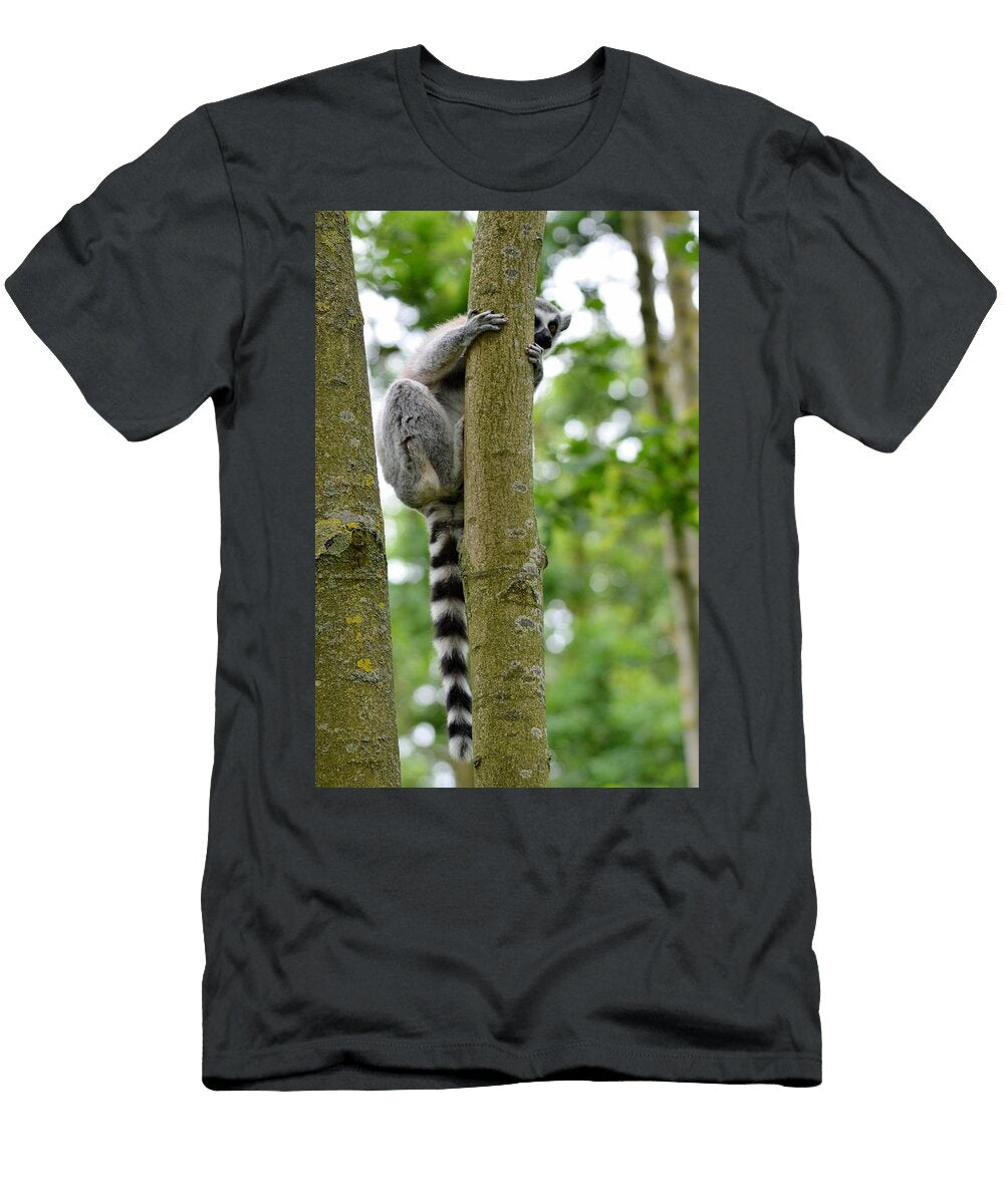 Ring Tailed Lemur Z2 Les Classics T-Shirt